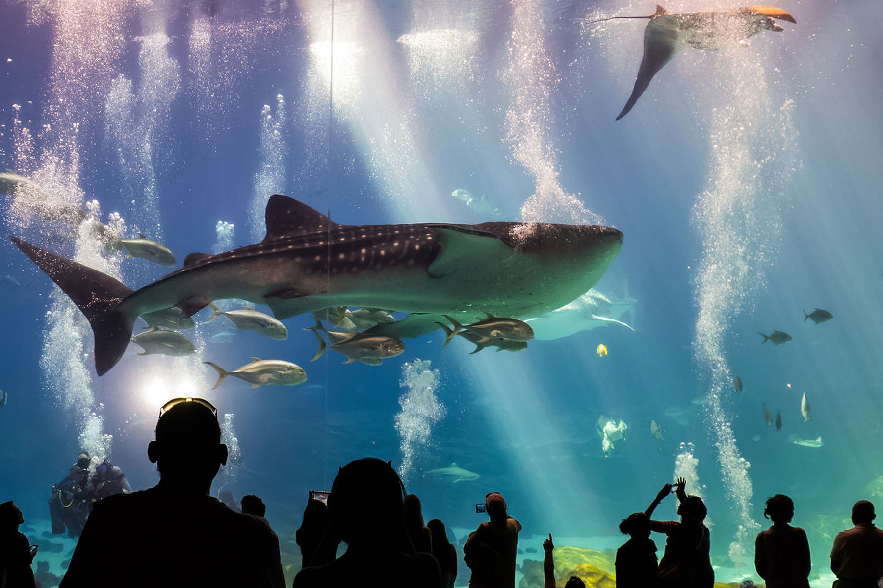 aquarium